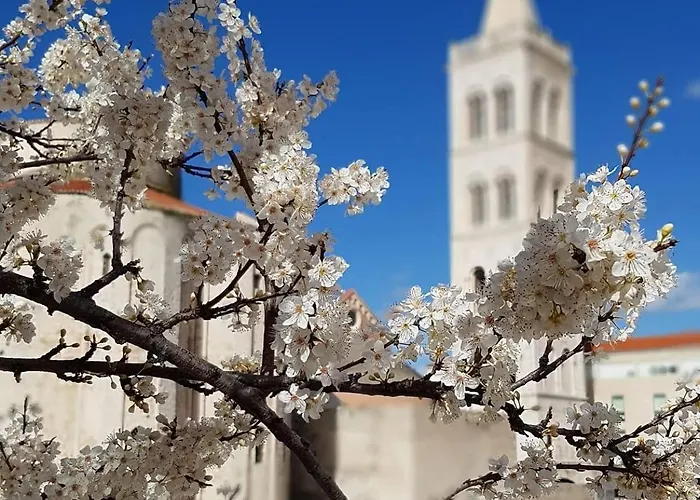 New! Jolie In - With Free Parking And Terrace!